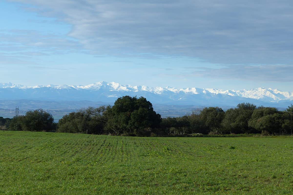 Camping Aude - Camping Le Martinet Rouge paysage